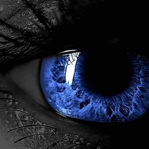 Meet your Posher, Kris